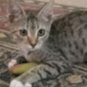 Meet your Posher, Jeremy